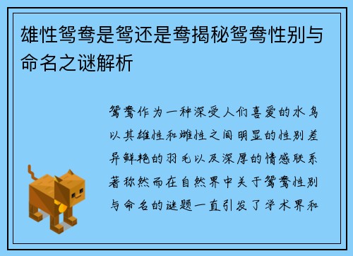 雄性鸳鸯是鸳还是鸯揭秘鸳鸯性别与命名之谜解析